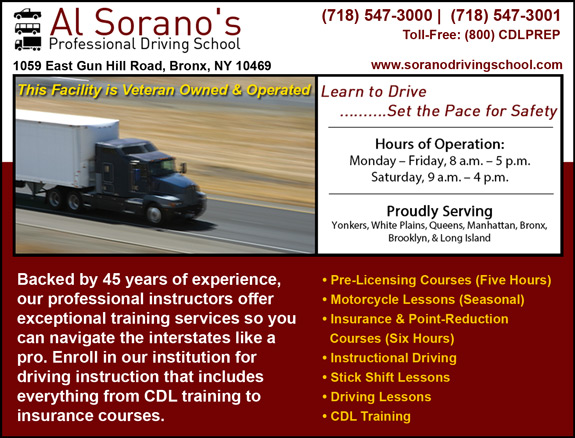 Al Sorano\'s Professional Driving School