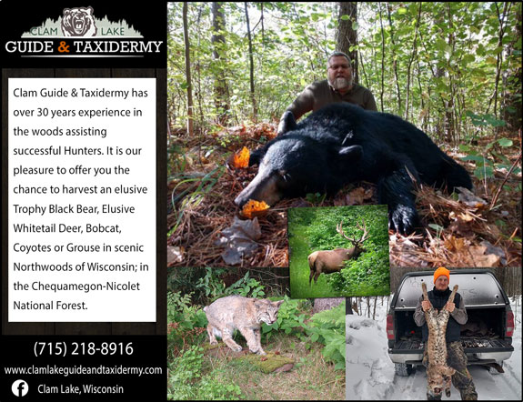 Clam Lake Guide and Taxidermy