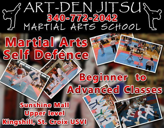 Art Den Jitsu