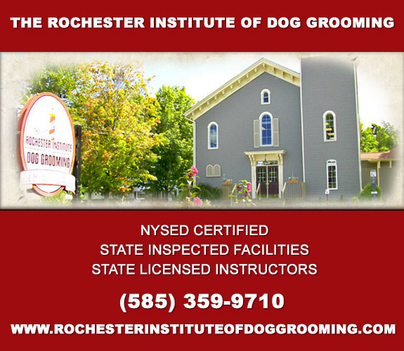 Rochester Institute of Dog Grooming
