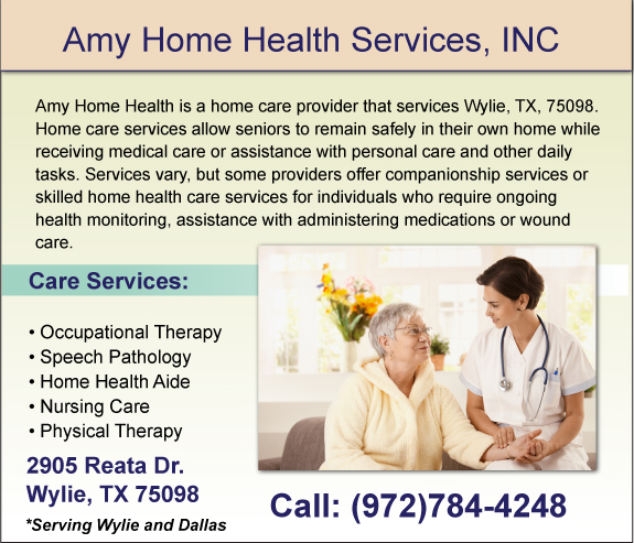 Amy Home Health Services Inc