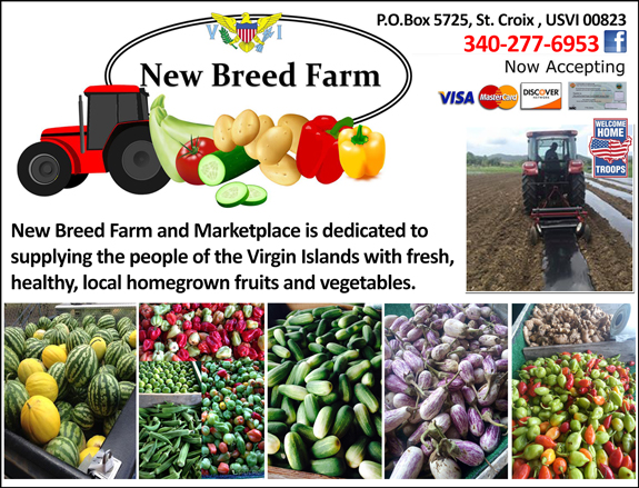 New Breed Farm and Marketplace