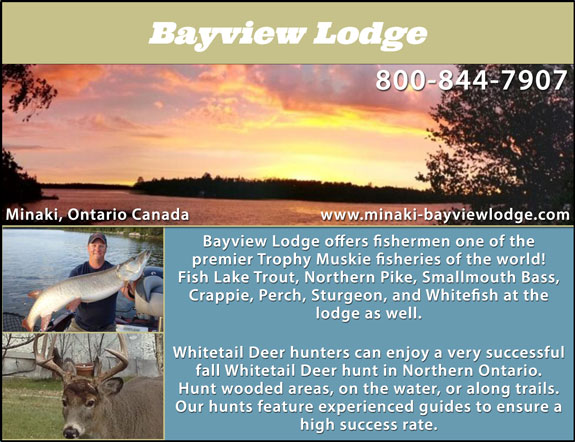 Bayview Lodge