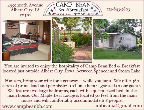 Camp Bean Bed