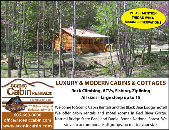 Scenic Cabin Rentals