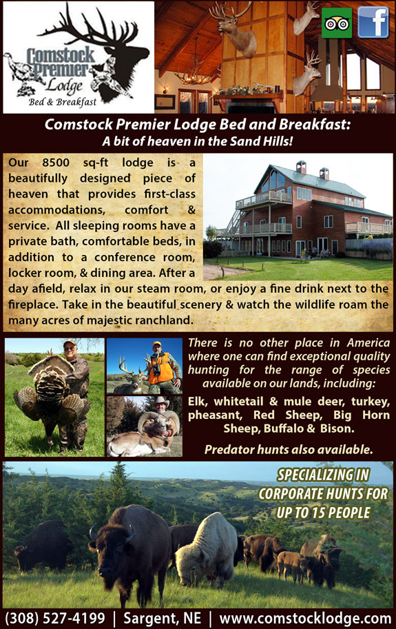 Comstock Premier Lodge