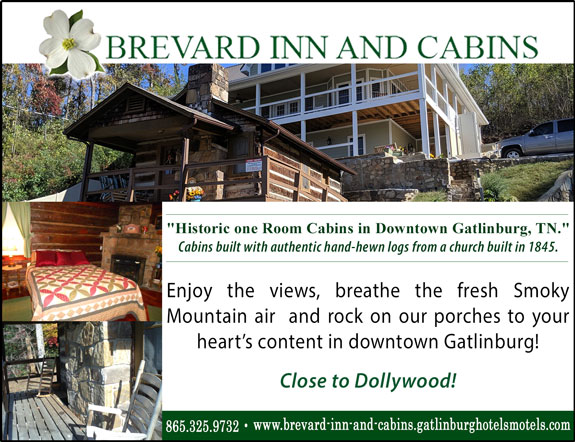 Brevard Inn and Cabins