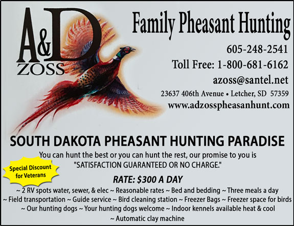 A & D Zoss Pheasant Hunting