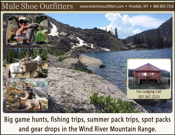 Mule Shoe Outfitters