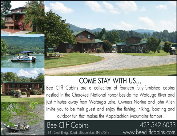 Bee Cliff Cabins