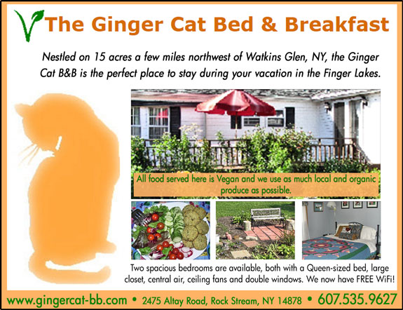 Ginger Cat Bed and Breakfast