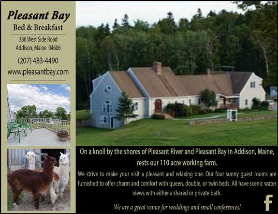 Pleasant Bay Bed and Breakfast