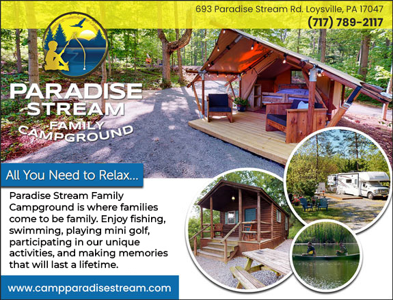 Camp Paradise Stream