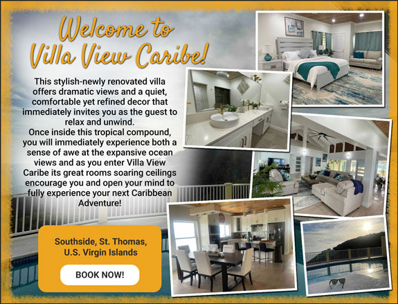 D & D Associate Marketing & Villa Rentals - Villa View