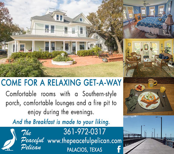 The Peaceful Pelican